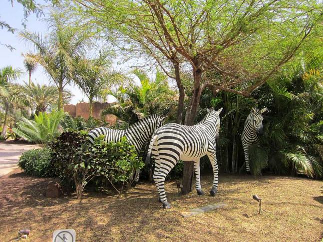 Name:  zebra.jpg
Hits: 509
Gre:  102,7 KB
