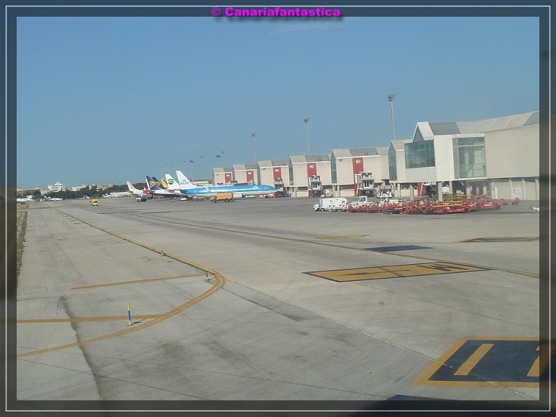 Name:  comp_P1000392.jpg
Hits: 2837
Gre:  45,5 KB