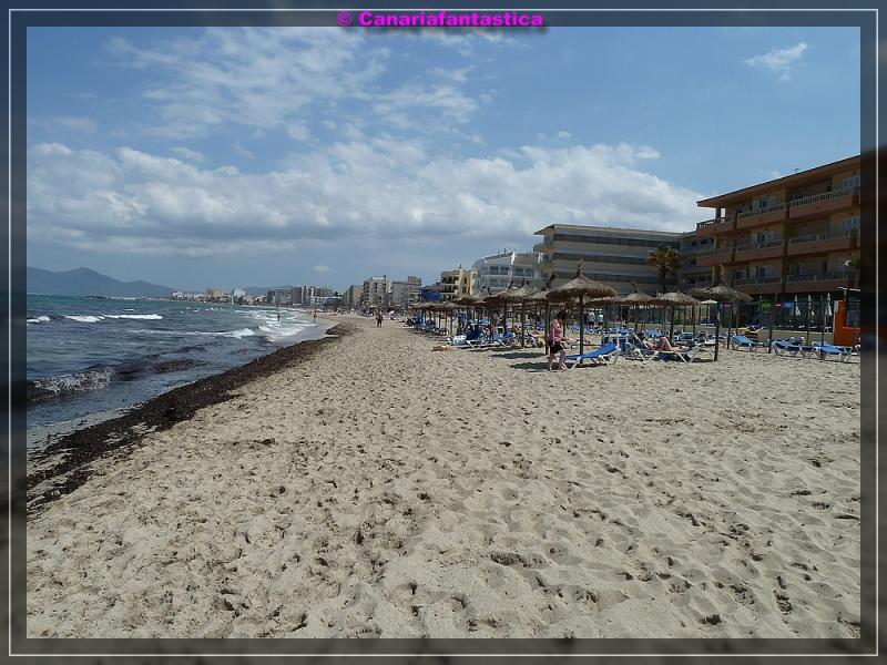 Name:  comp_P1000750.jpg
Hits: 2657
Gre:  89,8 KB