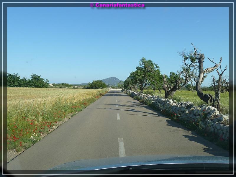 Name:  comp_P1000865.jpg
Hits: 2519
Gre:  65,7 KB