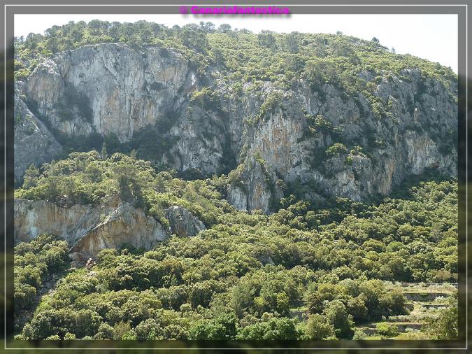 Name:  comp_P1000972.jpg
Hits: 2495
Gre:  104,0 KB