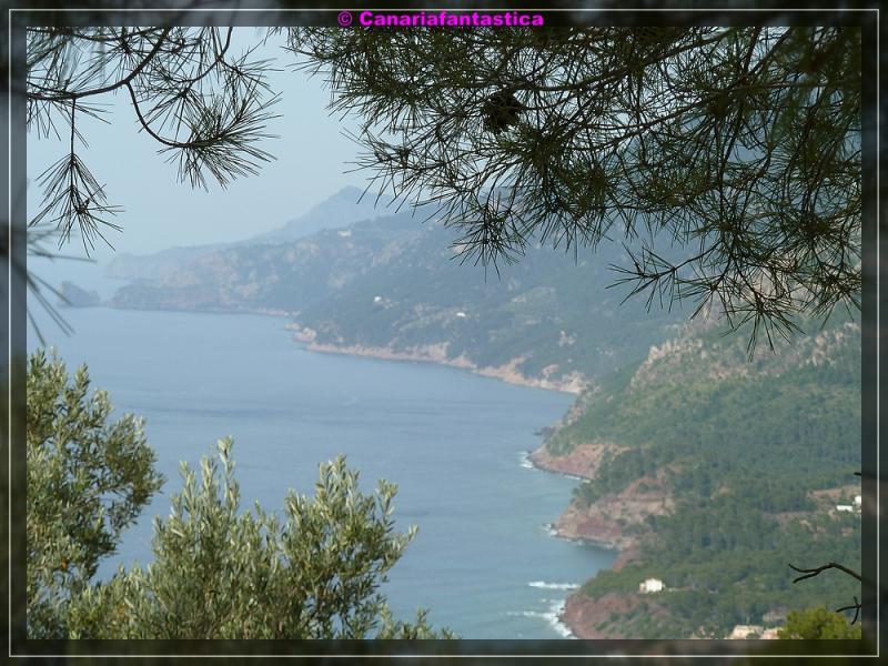 Name:  comp_P1010209.jpg
Hits: 2277
Gre:  98,5 KB