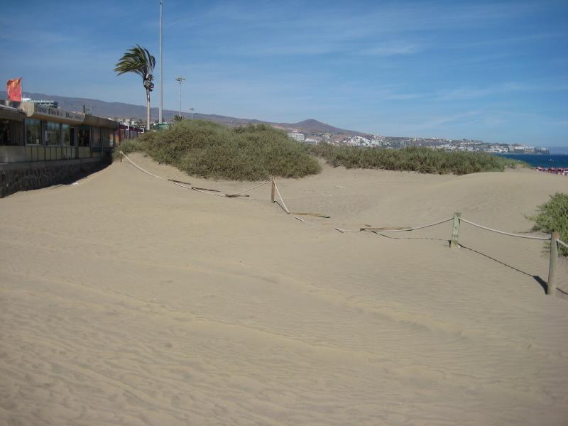 Name:  Urlaub Gran Canaria Herbst 2012 012.jpg
Hits: 8256
Gre:  40,4 KB