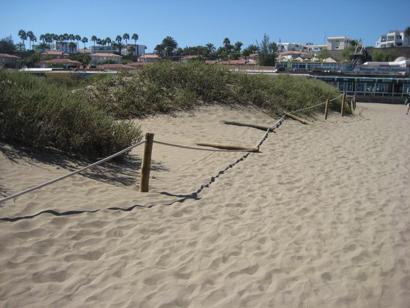 Name:  Urlaub Gran Canaria Herbst 2012 011.jpg
Hits: 2349
Gre:  79,4 KB