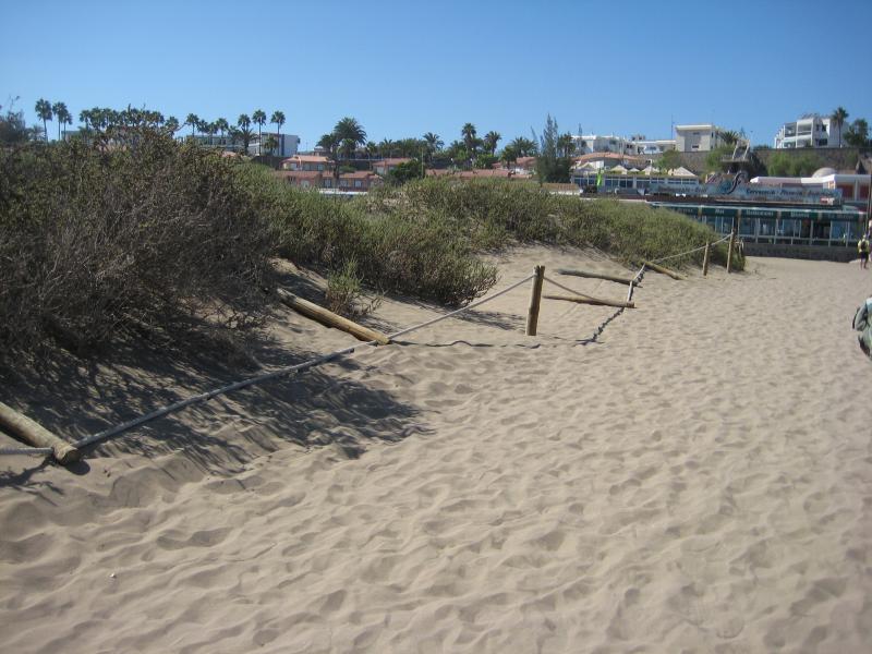 Name:  Urlaub Gran Canaria Herbst 2012 010.jpg
Hits: 8332
Gre:  74,4 KB