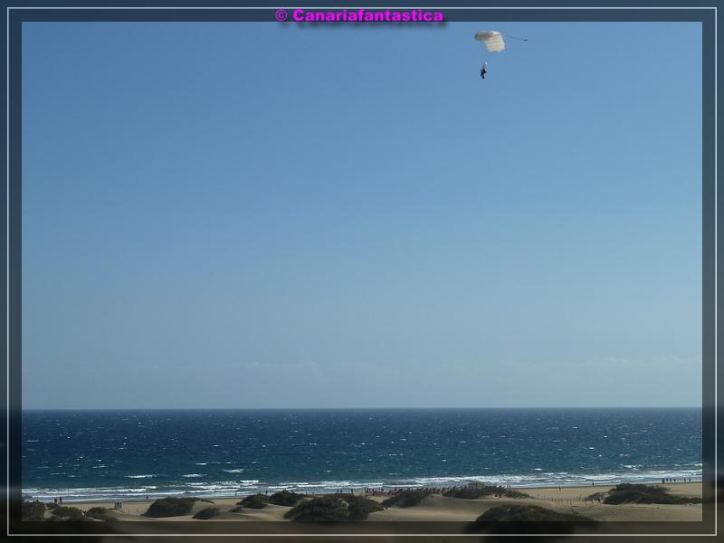 Name:  comp_P1040467.jpg
Hits: 1950
Gr��e:  30,2 KB