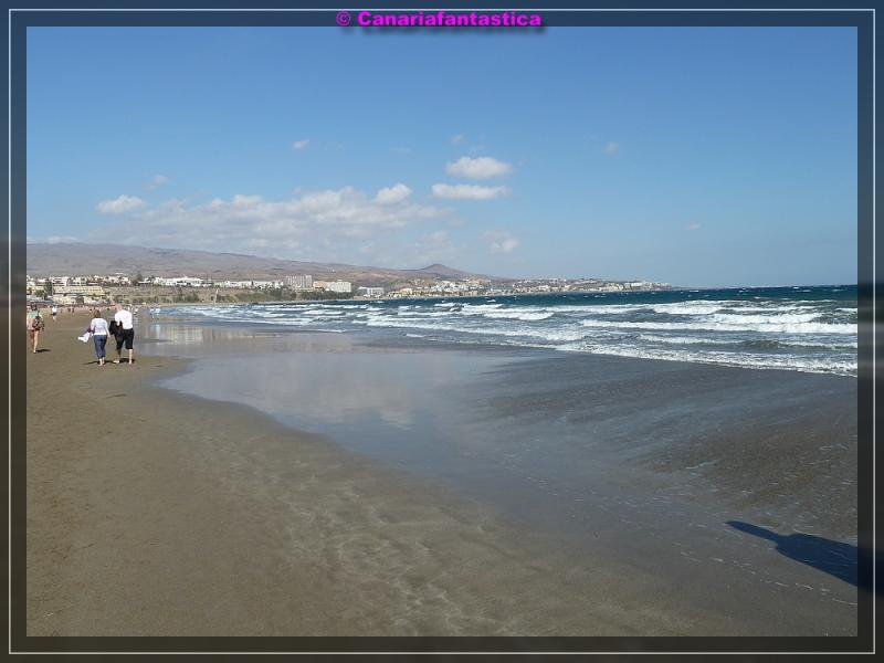 Name:  comp_P1040474.jpg
Hits: 2001
Gr��e:  46,1 KB