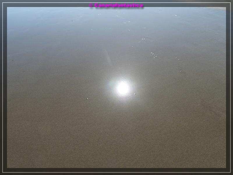 Name:  comp_P1040485.jpg
Hits: 1972
Gr��e:  37,2 KB