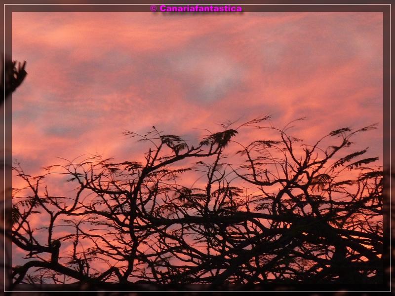 Name:  comp_P1040677.jpg
Hits: 969
Gr��e:  80,3 KB