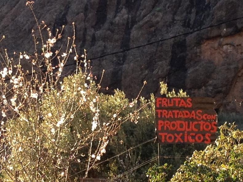 Name:  Frutas_toxicos.jpg
Hits: 4533
Gre:  101,6 KB