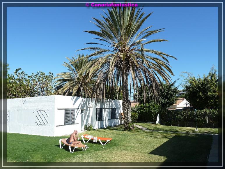 Name:  comp_P1040725.jpg
Hits: 1006
Gr��e:  104,0 KB