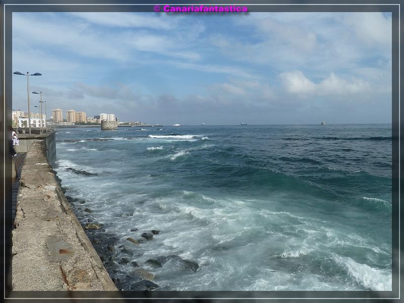 Name:  comp_P1040733.jpg
Hits: 1410
Gr��e:  66,3 KB