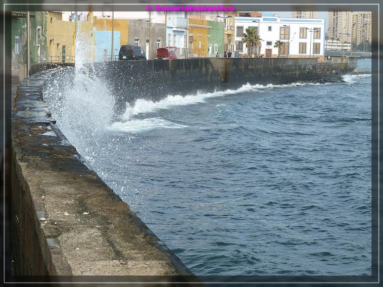 Name:  comp_P1040756.jpg
Hits: 1298
Gr��e:  103,2 KB