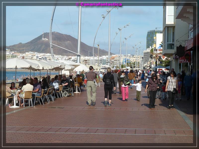 Name:  comp_P1040957.jpg
Hits: 1368
Gr��e:  82,8 KB