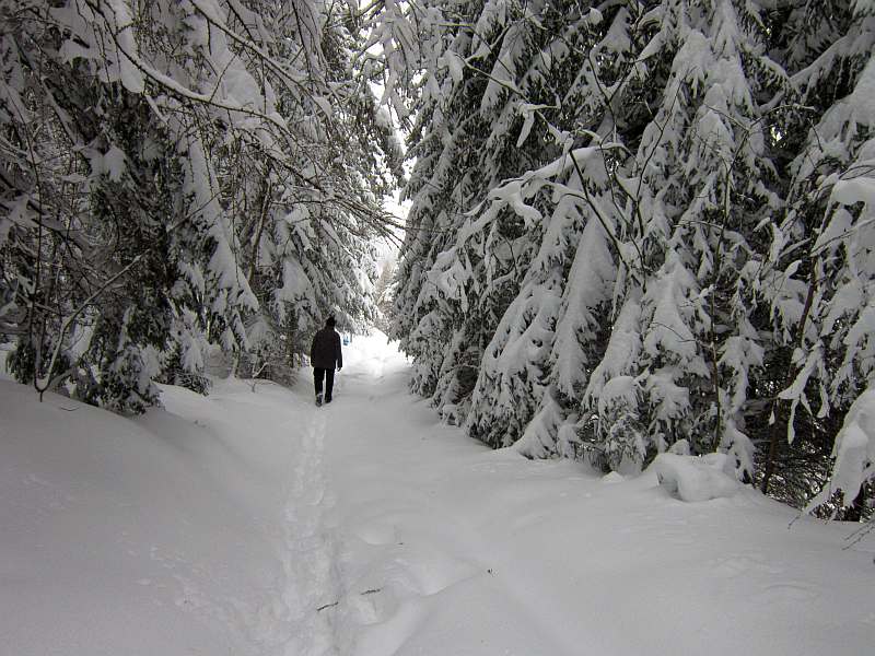 Name:  schnee.jpg
Hits: 447
Gre:  85,1 KB