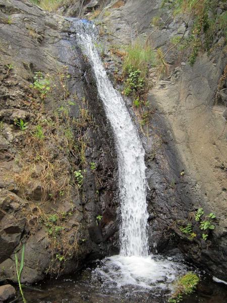 Name:  wasser.jpg
Hits: 412
Gre:  77,1 KB