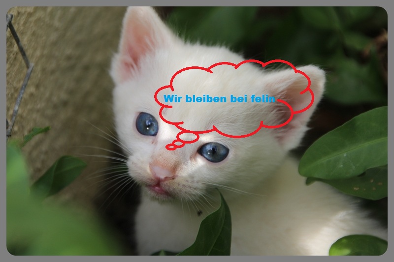 Name:  IMG_2041.JPG
Hits: 3480
Gre:  98,0 KB