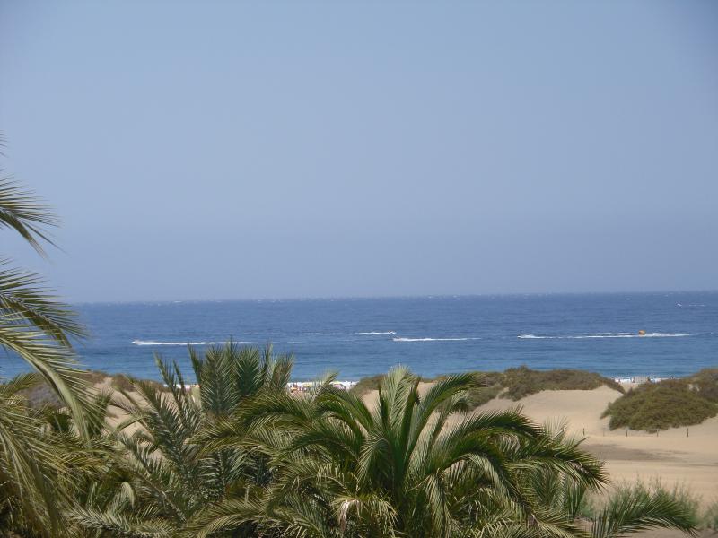 Name:  Gran Canaria 2011 153.jpg
Hits: 1210
Gre:  55,7 KB