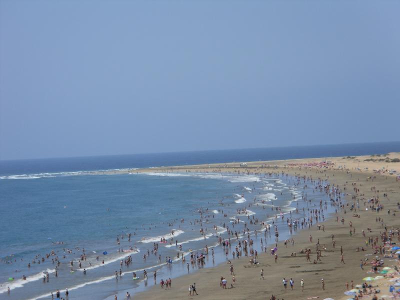 Name:  Gran Canaria 2011 320.jpg
Hits: 2056
Gr��e:  40,4 KB
