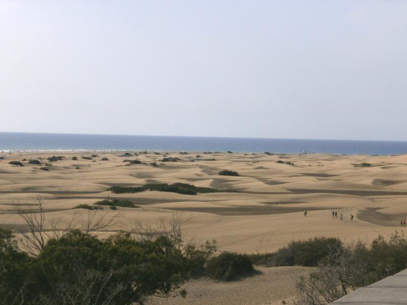 Name:  Gran Canaria  Oktober2012 069.jpg
Hits: 1890
Gr��e:  41,7 KB