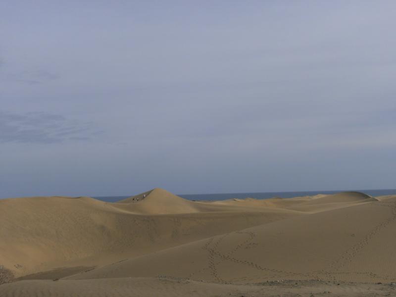 Name:  Gran Canaria  Oktober2012 221.jpg
Hits: 1913
Gr��e:  19,2 KB