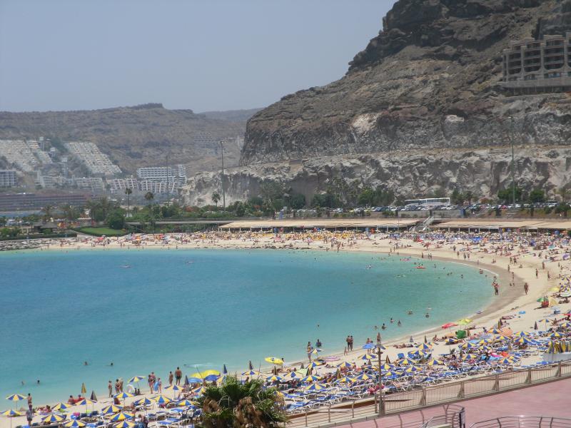 Name:  Gran Canaria 2011 084.jpg
Hits: 1003
Gr��e:  85,3 KB