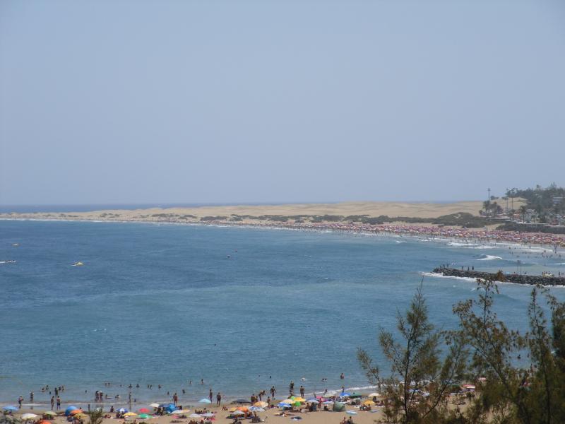 Name:  Gran Canaria 2011 166.jpg
Hits: 1034
Gr��e:  44,8 KB