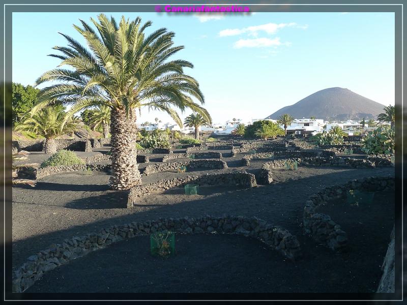 Name:  comp_P1050075.jpg
Hits: 741
Gr��e:  92,8 KB