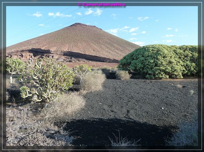 Name:  comp_P1050078.jpg
Hits: 700
Gr��e:  103,0 KB