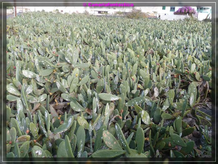 Name:  comp_P1050091.jpg
Hits: 715
Gr��e:  105,7 KB