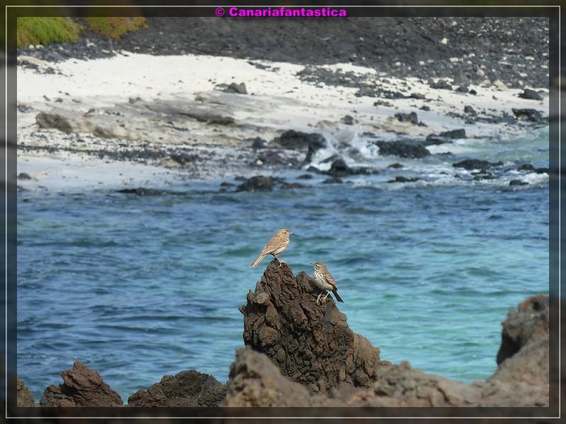Name:  comp_P1050211.jpg
Hits: 919
Gr��e:  75,7 KB