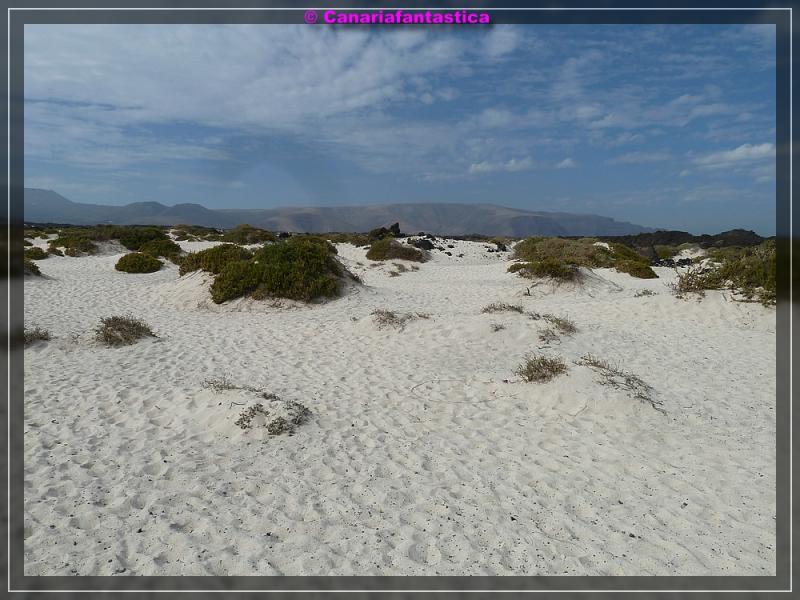 Name:  comp_P1050217.jpg
Hits: 735
Gr��e:  74,4 KB