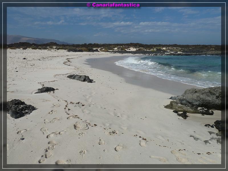Name:  comp_P1050226.jpg
Hits: 662
Gr��e:  62,6 KB