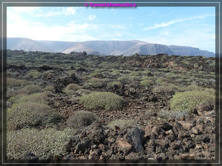 Name:  comp_P1050247.jpg
Hits: 654
Gr��e:  105,4 KB