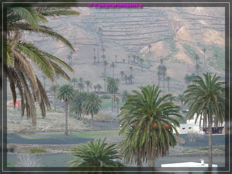 Name:  comp_P1050336.jpg
Hits: 700
Gr��e:  89,6 KB