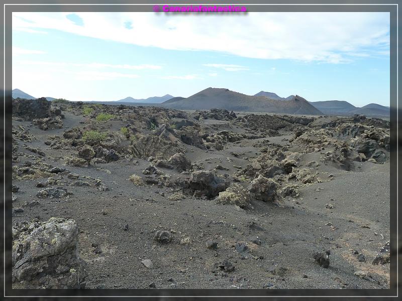 Name:  comp_P1050364.jpg
Hits: 617
Gr��e:  97,5 KB