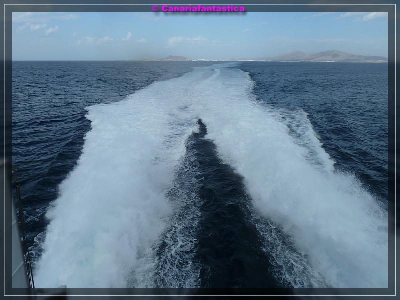 Name:  comp_P1050503.jpg
Hits: 758
Gr��e:  56,9 KB