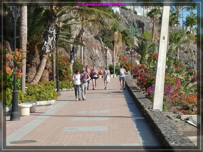 Name:  comp_P1050569.jpg
Hits: 737
Gr��e:  105,0 KB