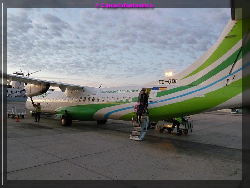 Name:  comp_P1050695.jpg
Hits: 697
Gr��e:  57,5 KB