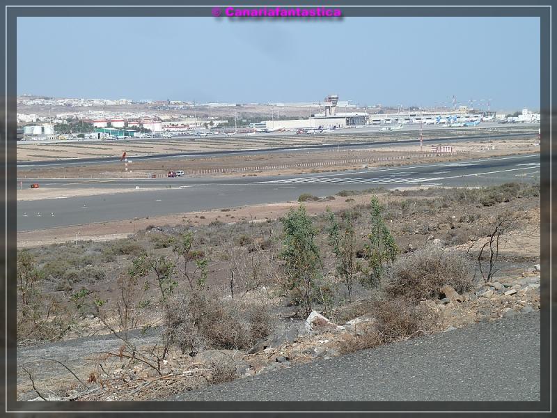 Name:  comp_P1050791.jpg
Hits: 678
Gr��e:  99,2 KB