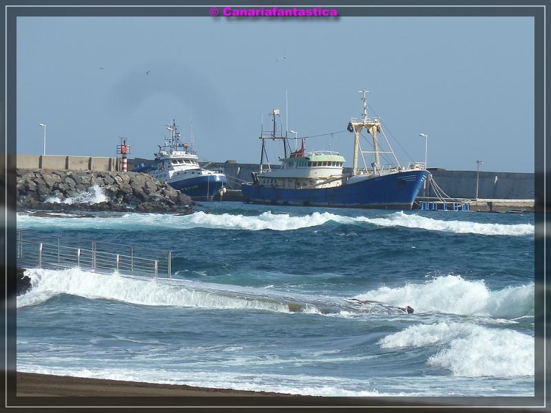 Name:  comp_P1050800.jpg
Hits: 750
Gr��e:  67,8 KB