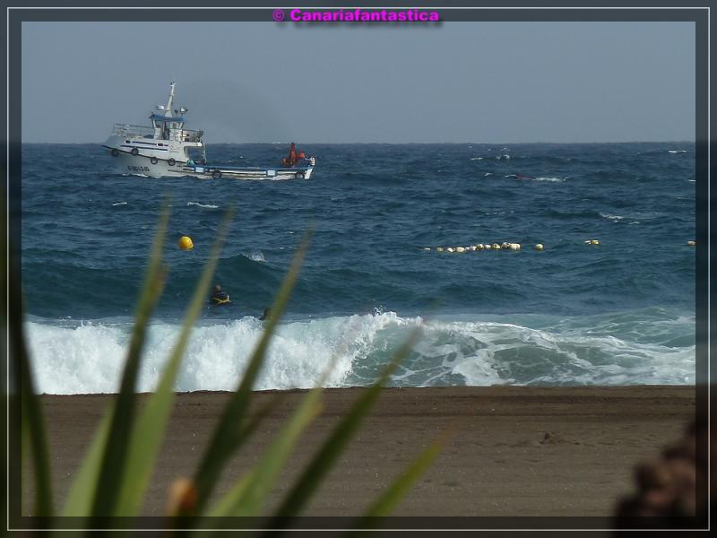 Name:  comp_P1050831.jpg
Hits: 722
Gr��e:  52,0 KB
