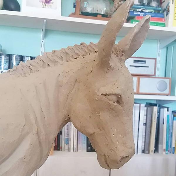 Name:  esel2.jpg
Hits: 11959
Gr��e:  40,8 KB