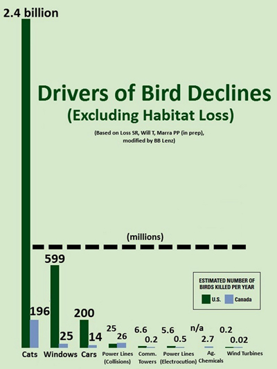 Name:  bird-mortality-s.jpg
Hits: 1000
Gre:  93,9 KB