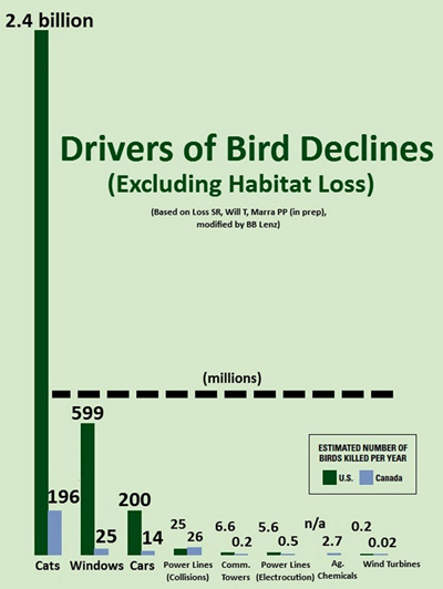 Name:  bird-mortality-s.jpg
Hits: 2832
Gre:  93,9 KB