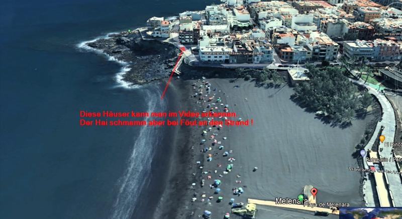 Name:  Hai am Strand von Melenara..jpg
Hits: 3124
Gre:  61,6 KB