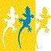 Avatar von geckoherz